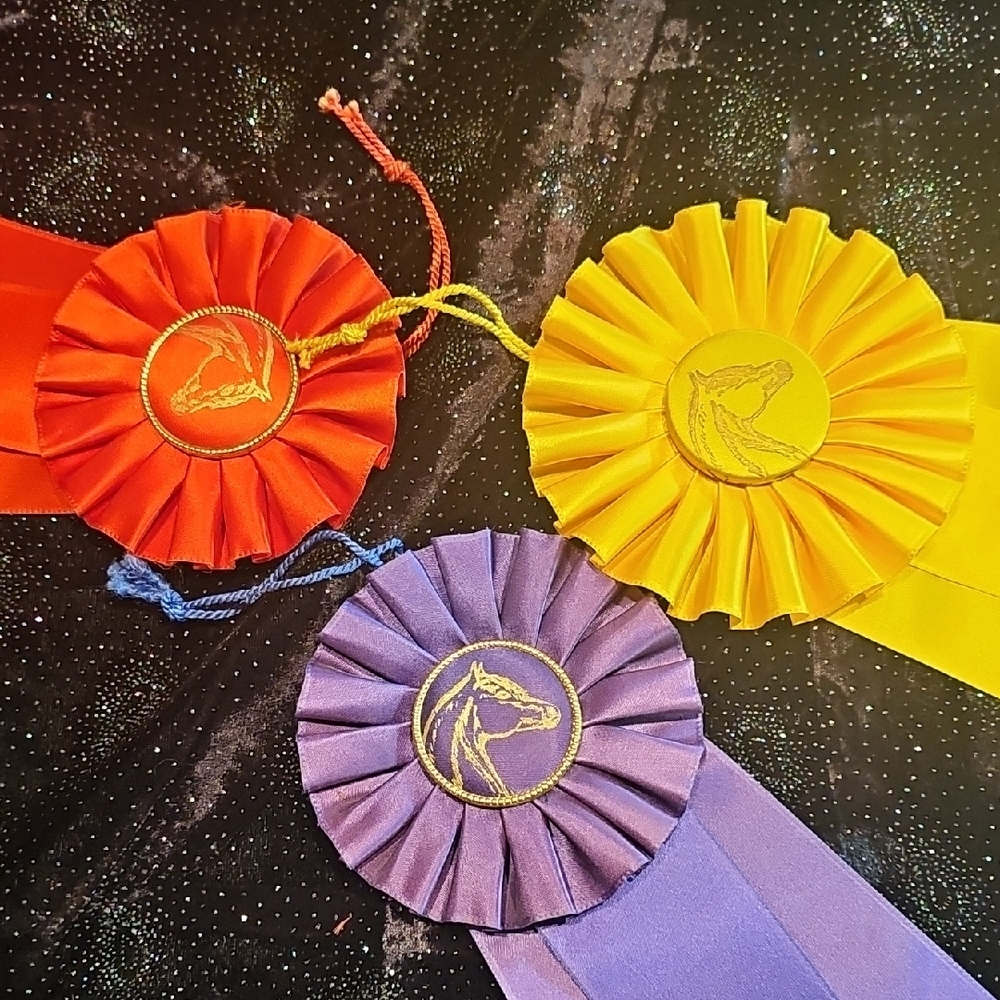 3 original from 1965 1967 NM Albuquerque State Fair Horse Show ribbons rosettes - Picture 11 of 13